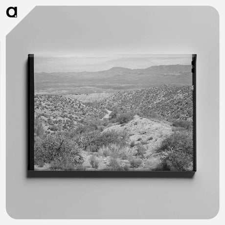アートパネル-Apache Trail, Gila County, Arizona
 - ラッセル リー Canvas.