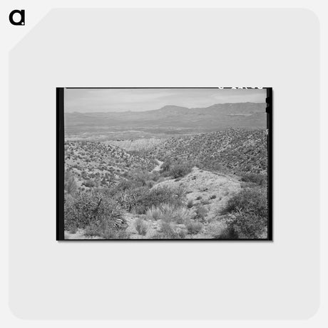アートポストカード-Apache Trail, Gila County, Arizona
 - ラッセル リー Postcard.