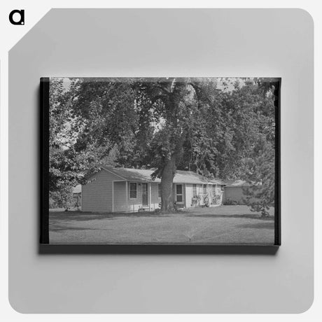 アートパネル-Manager's House at FSA Migratory Labor Camp, Yakima, Washington
 - ラッセル リー Canvas.