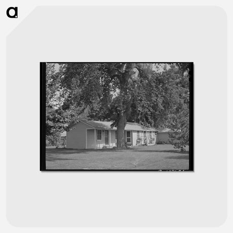 アートポストカード-Manager's House at FSA Migratory Labor Camp, Yakima, Washington
 - ラッセル リー Postcard.