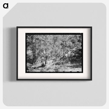 Sawing Felled Tree, Pie Town, New Mexico
 - ラッセル リー Poster.