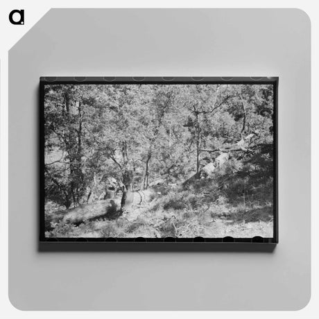 アートパネル-Sawing Felled Tree, Pie Town, New Mexico
 - ラッセル リー Canvas.