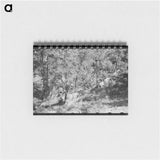 アートメモ帳-Sawing Felled Tree, Pie Town, New Mexico
 - ラッセル リー Memo.