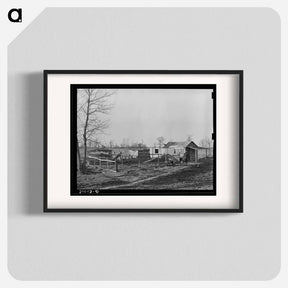 アートポスター-Sharecropper Farmstead, Transylvania, Louisiana
 - ラッセル リー Poster.