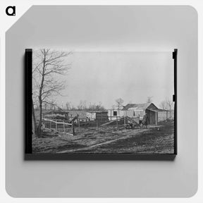 アートパネル-Sharecropper Farmstead, Transylvania, Louisiana
 - ラッセル リー Canvas.