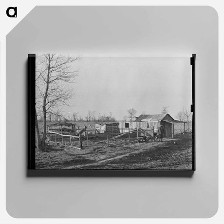 アートパネル-Sharecropper Farmstead, Transylvania, Louisiana
 - ラッセル リー Canvas.
