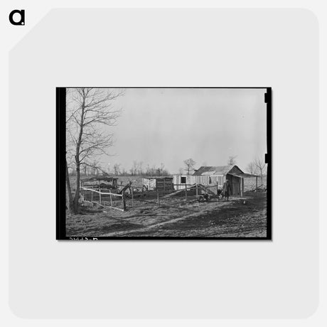 アートポストカード-Sharecropper Farmstead, Transylvania, Louisiana
 - ラッセル リー Postcard.