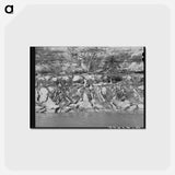 アートポストカード-Seven Hundred Springs on the Llano River
 - ラッセル リー Postcard.