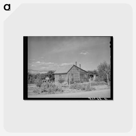 アートポストカード-House of Fruit Rancher, Delta County, Colorado
 - ラッセル リー Postcard.