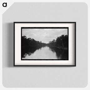アートポスター-Trees and Moss Along the Bayou, Port of Houston
 - ラッセル リー Poster.