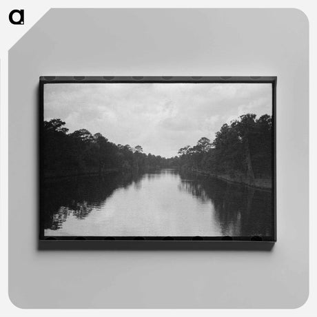 アートパネル-Trees and Moss Along the Bayou, Port of Houston
 - ラッセル リー Canvas.
