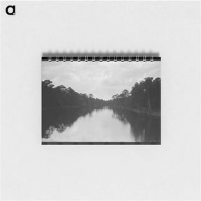 アートメモ帳-Trees and Moss Along the Bayou, Port of Houston
 - ラッセル リー Memo.