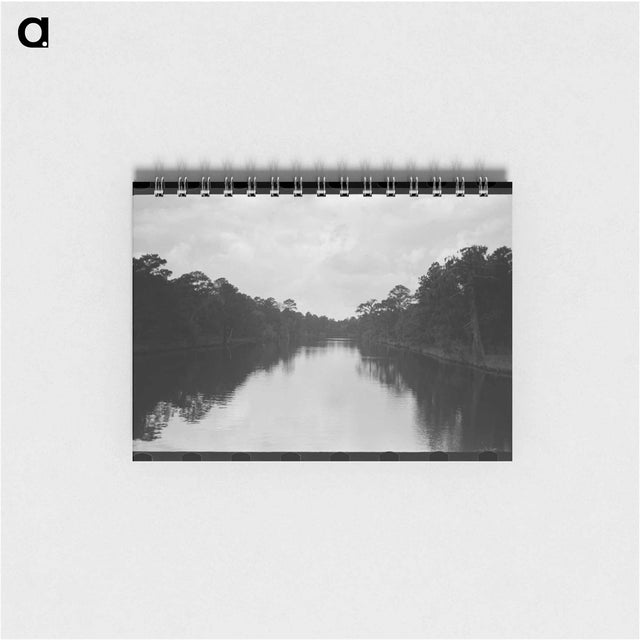アートメモ帳-Trees and Moss Along the Bayou, Port of Houston
 - ラッセル リー Memo.