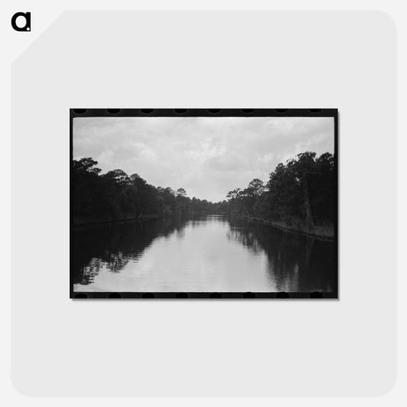アートポストカード-Trees and Moss Along the Bayou, Port of Houston
 - ラッセル リー Postcard.
