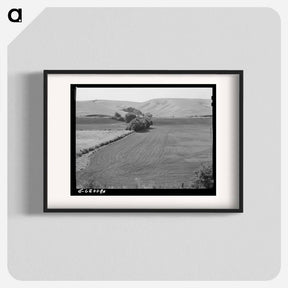 アートポスター-Harrowed Summer Fallow, Whitman County, Washington
 - ラッセル リー Poster.