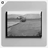 アートパネル-Harrowed Summer Fallow, Whitman County, Washington
 - ラッセル リー Canvas.
