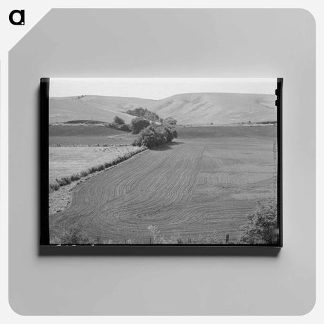 アートパネル-Harrowed Summer Fallow, Whitman County, Washington
 - ラッセル リー Canvas.