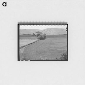 アートメモ帳-Harrowed Summer Fallow, Whitman County, Washington
 - ラッセル リー Memo.