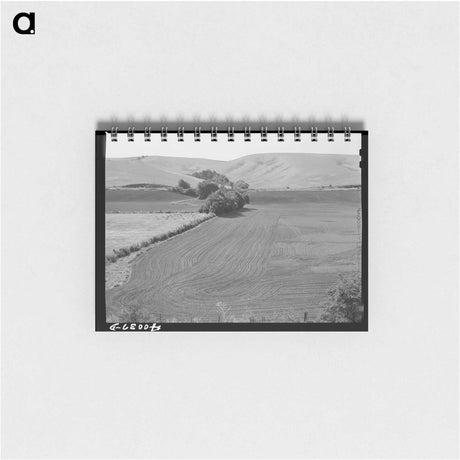 アートメモ帳-Harrowed Summer Fallow, Whitman County, Washington
 - ラッセル リー Memo.