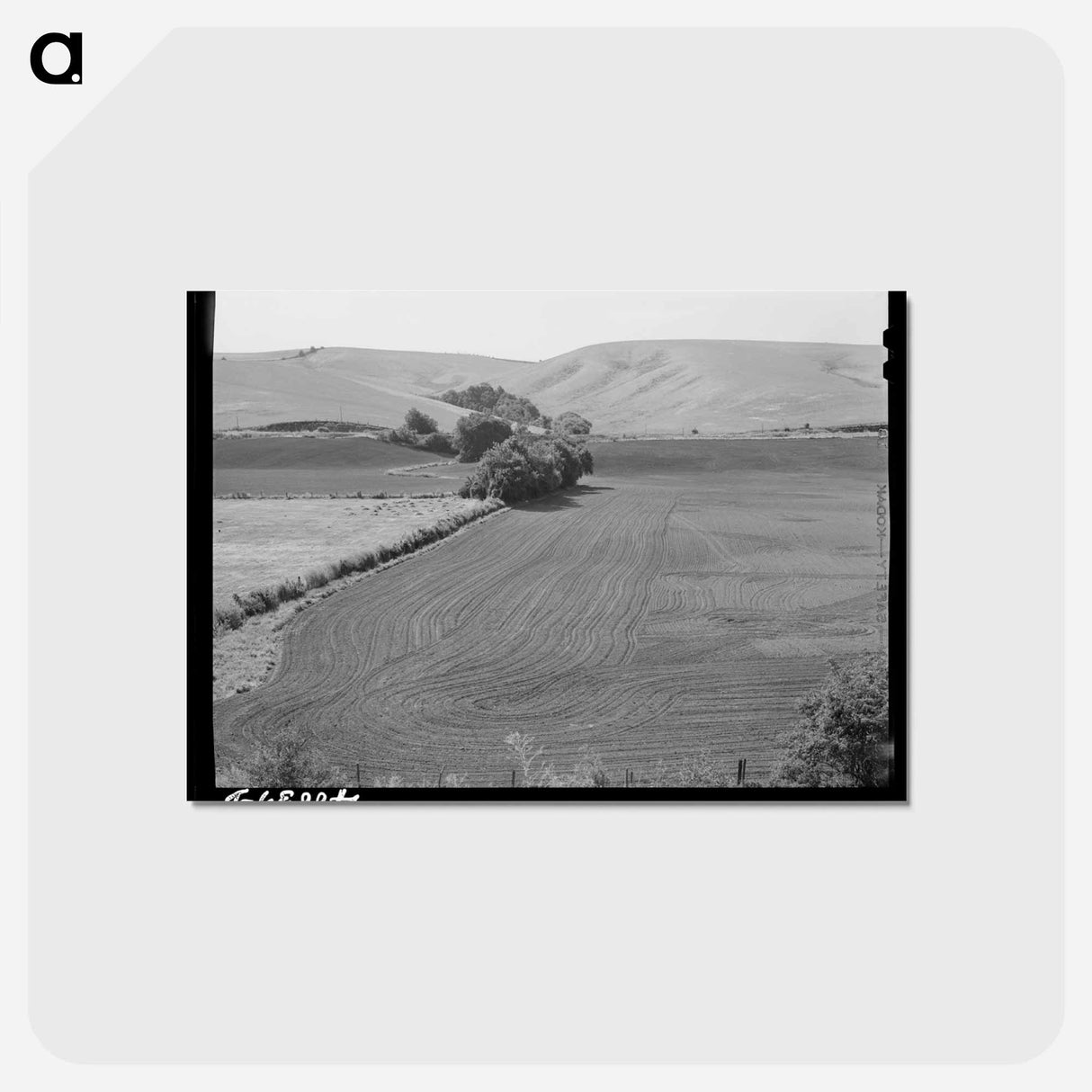 アートポストカード-Harrowed Summer Fallow, Whitman County, Washington
 - ラッセル リー Postcard.