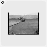 アートポストカード-Harrowed Summer Fallow, Whitman County, Washington
 - ラッセル リー Postcard.