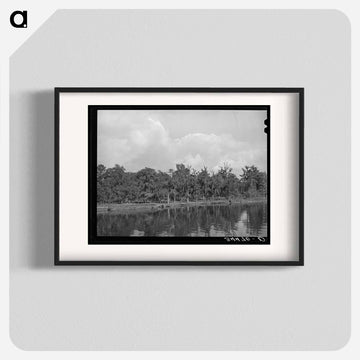 Moss-Covered Trees, Port of Houston
 - ラッセル リー Poster.