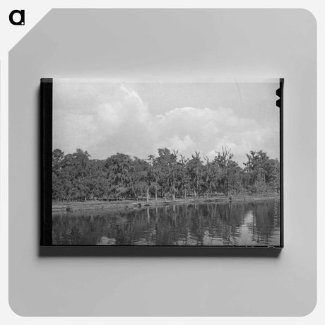 アートパネル-Moss-Covered Trees, Port of Houston
 - ラッセル リー Canvas.