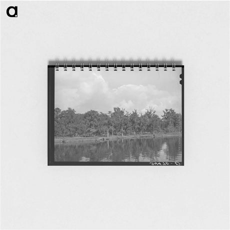 アートメモ帳-Moss-Covered Trees, Port of Houston
 - ラッセル リー Memo.