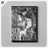 アートパネル-Melting Snow in the Mountains, Bernalillo County
 - ラッセル リー Canvas.
