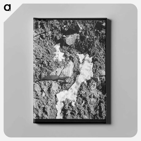 アートパネル-Melting Snow in the Mountains, Bernalillo County
 - ラッセル リー Canvas.
