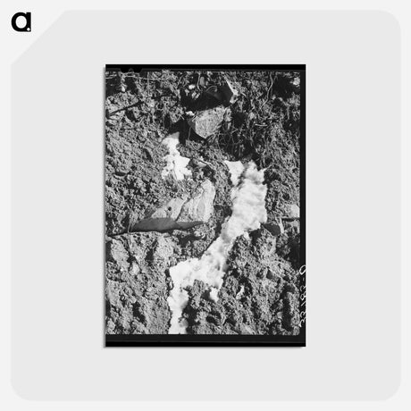 アートポストカード-Melting Snow in the Mountains, Bernalillo County
 - ラッセル リー Postcard.