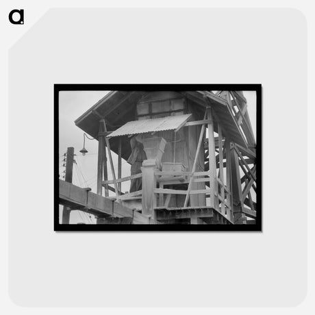 アートポストカード-Lime Infusion at Sweet Potato Starch Plant, Laurel, Mississippi
 - ラッセル リー Postcard.