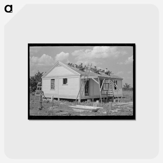 アートポストカード-House Erection: Roofing Over Shingle Lath
 - ラッセル リー Postcard.