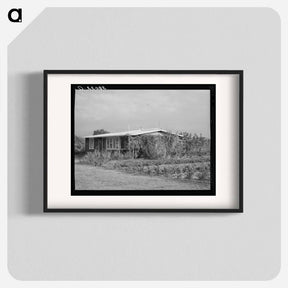 アートポスター-House of Member of the Mineral King Cooperative Farm, Tulare County, California
 - ラッセル リー Poster.