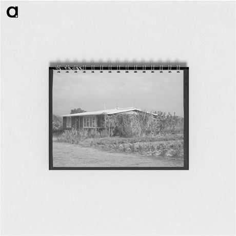 アートメモ帳-House of Member of the Mineral King Cooperative Farm, Tulare County, California
 - ラッセル リー Memo.