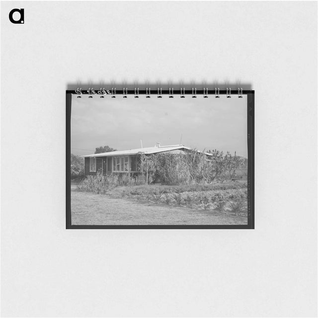 アートメモ帳-House of Member of the Mineral King Cooperative Farm, Tulare County, California
 - ラッセル リー Memo.