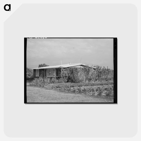 アートポストカード-House of Member of the Mineral King Cooperative Farm, Tulare County, California
 - ラッセル リー Postcard.