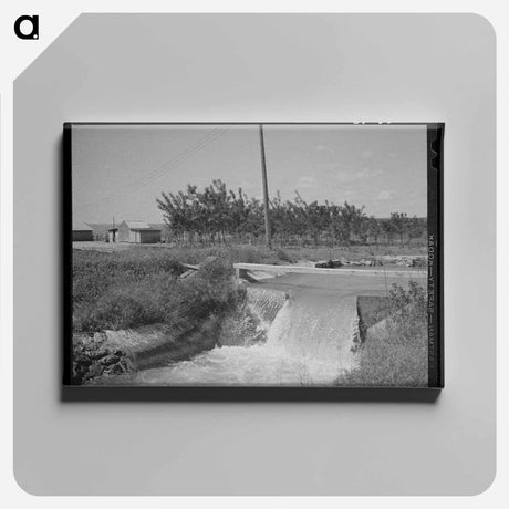 アートパネル-Irrigation Ditch and Farmstead, Nyssa Heights, Oregon
 - ラッセル リー Canvas.