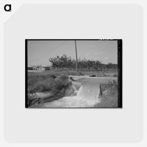アートポストカード-Irrigation Ditch and Farmstead, Nyssa Heights, Oregon
 - ラッセル リー Postcard.