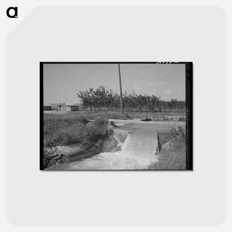 アートポストカード-Irrigation Ditch and Farmstead, Nyssa Heights, Oregon
 - ラッセル リー Postcard.