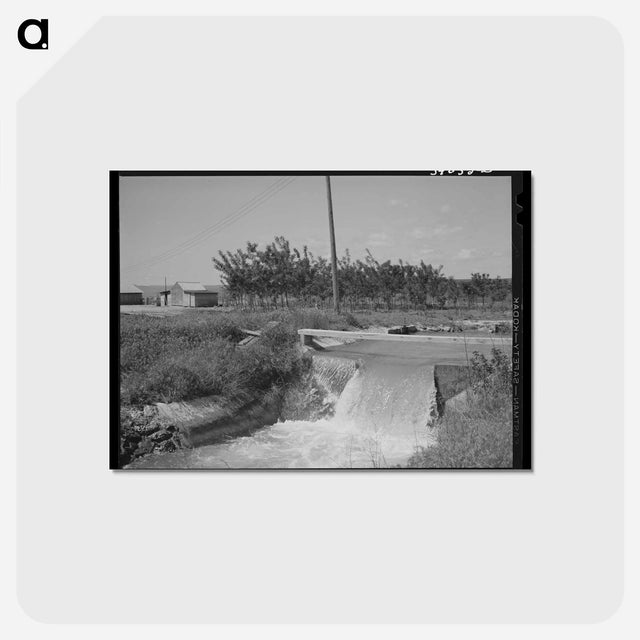 アートポストカード-Irrigation Ditch and Farmstead, Nyssa Heights, Oregon
 - ラッセル リー Postcard.