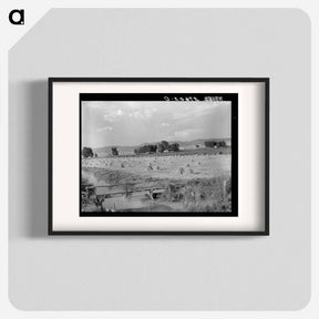 アートポスター-Irrigated Farm, Montrose County, Colorado
 - ラッセル リー Poster.
