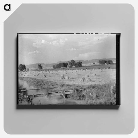 アートパネル-Irrigated Farm, Montrose County, Colorado
 - ラッセル リー Canvas.