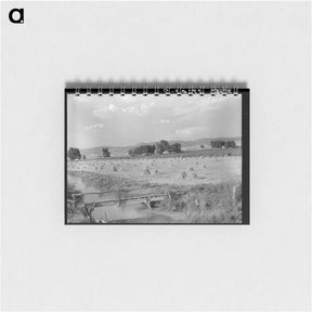 アートメモ帳-Irrigated Farm, Montrose County, Colorado
 - ラッセル リー Memo.