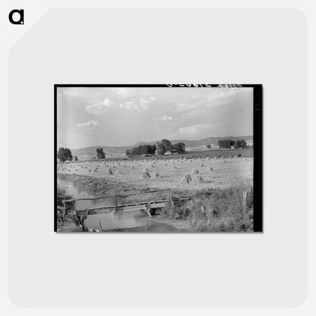 アートポストカード-Irrigated Farm, Montrose County, Colorado
 - ラッセル リー Postcard.