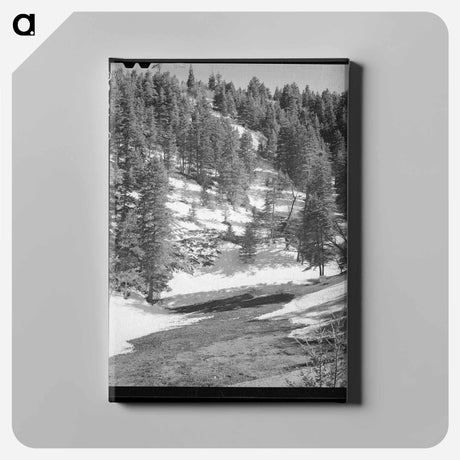アートパネル-Snow Melting, Bernalillo County
 - ラッセル リー Canvas.