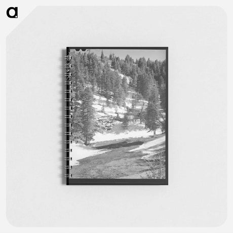 アートメモ帳-Snow Melting, Bernalillo County
 - ラッセル リー Memo.