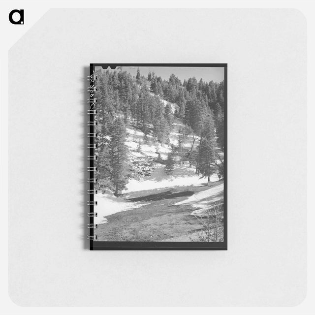 アートメモ帳-Snow Melting, Bernalillo County
 - ラッセル リー Memo.