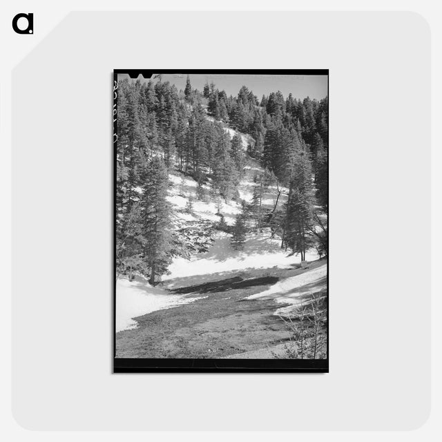 アートポストカード-Snow Melting, Bernalillo County
 - ラッセル リー Postcard.