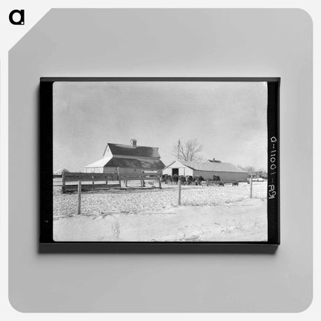 アートパネル-Harry Madsen's Farm, Dickens, Iowa
 - ラッセル リー Canvas.